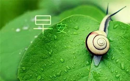 早安问候语加图片微商早安语录,微商早安励志语录正能量句子