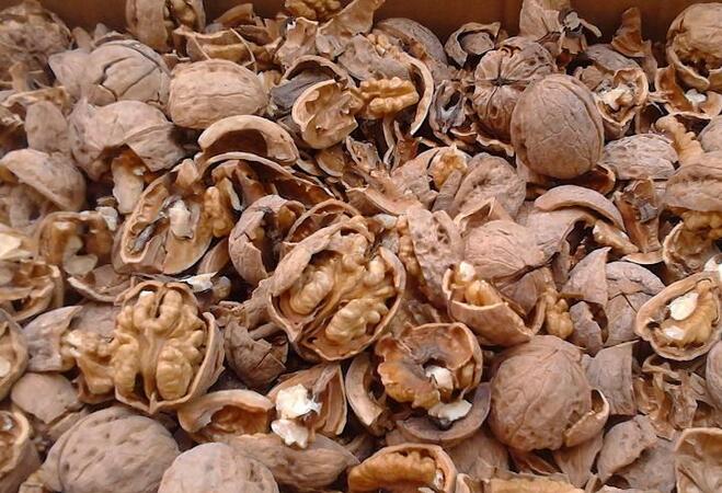 儿媳送*榴弹手**给婆婆砸核桃，砸了15年幸亏没炸，都说是儿媳阴谋