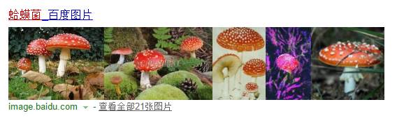 超级马里奥闯关手游攻略,超级马里奥run哪里下