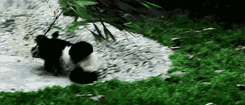 2016年只剩16天了，还是会有好事发生的