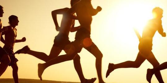 7个赚钱项目及教程分享,7个赚钱的方法视频