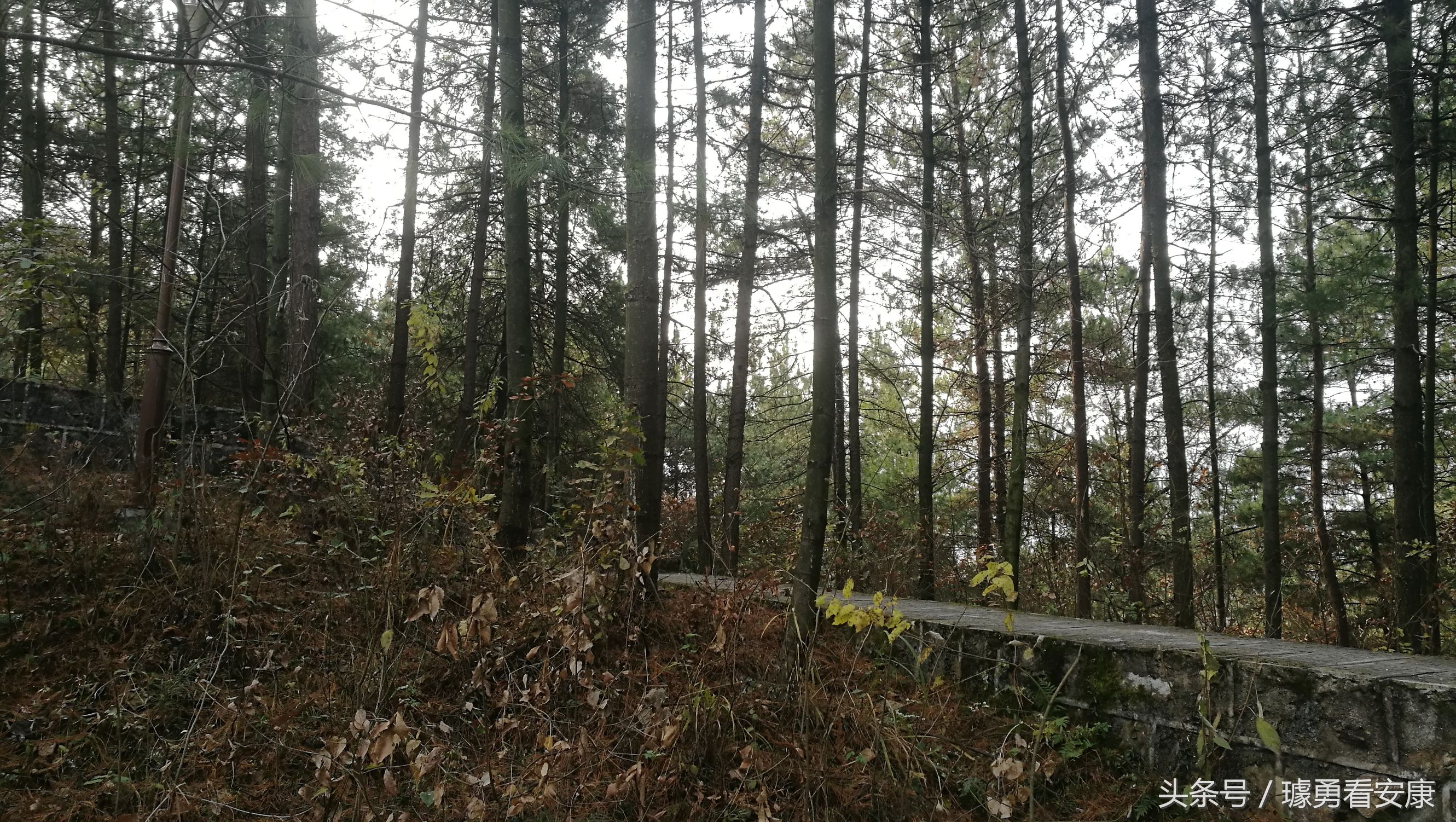 这里是中国慢城，一个让人能够宁静的城市这里环境美人情更美