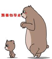 今日谈股票,今日话题炒股