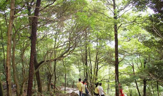 东莞最美清溪小镇,有一种美叫江南