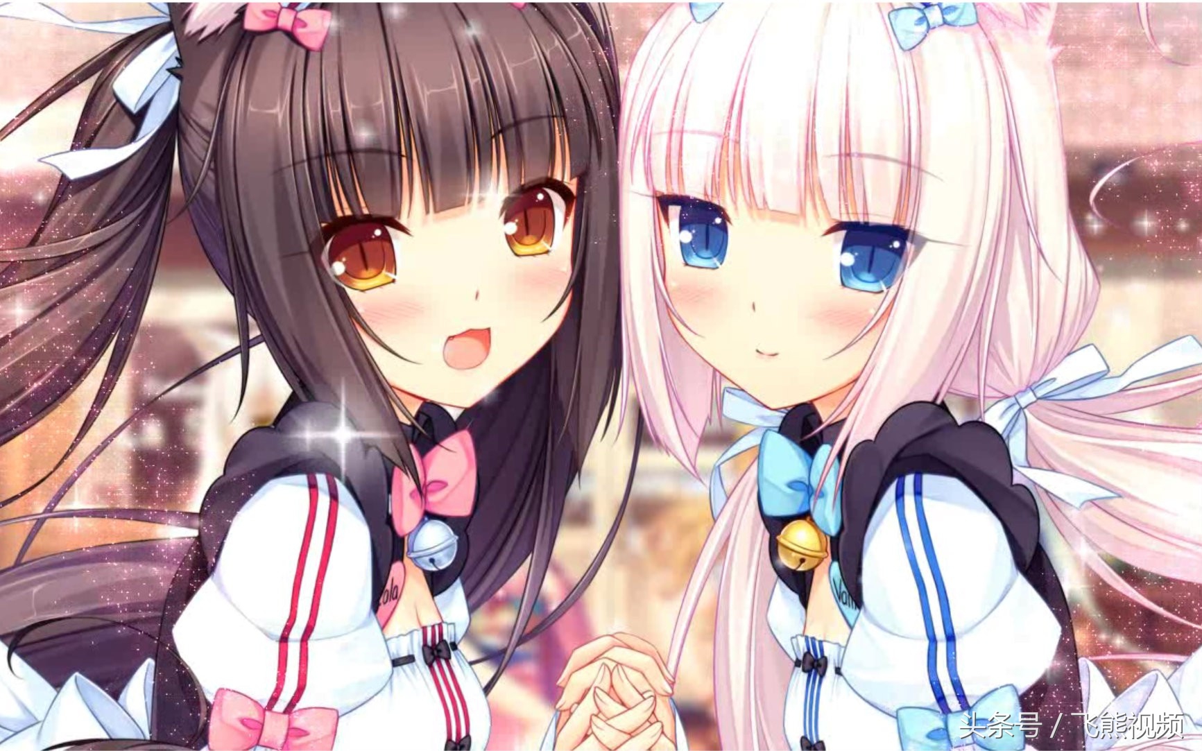 nekopara要从哪一部开始玩,nekopara游戏视频免费看