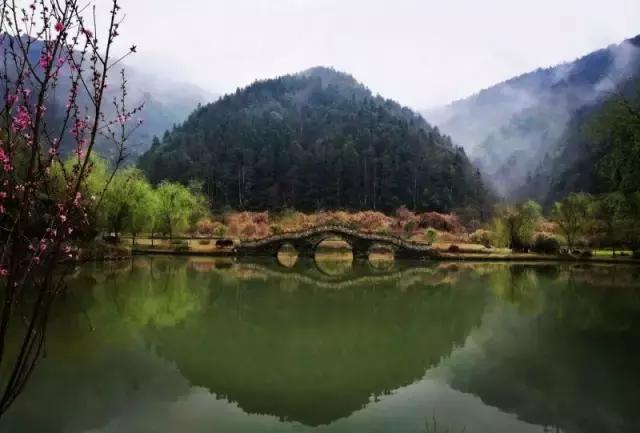 当新西兰的空气叫卖到699元每罐的时候,咱婺源人民不淡定了!