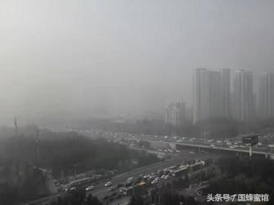 现在雾霾这么大，我得喝点蜂蜜静一静