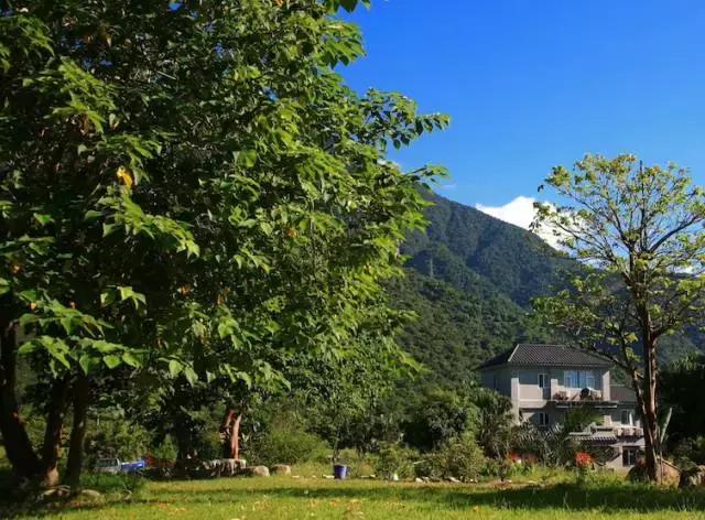 没有义无反顾的爱情,爱情是一场说走就走的旅行