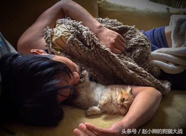 喵星人和主人睡一起,喵星人有多种情绪