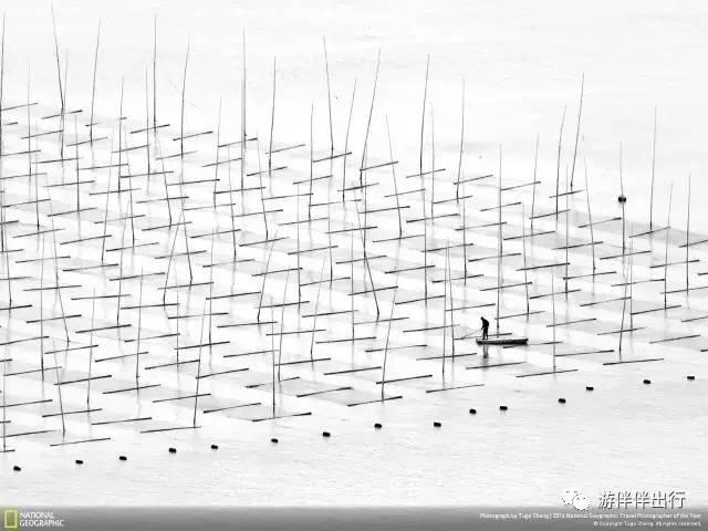 游伴伴|2016年最让人叹为观止的照片!