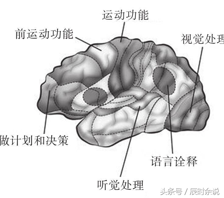 学习怎么找到正确的学习方法,怎样让孩子掌握正确的学习方法