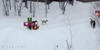 逗逼先僧：讽刺那些老发自拍瞎逼逼的女神，搞笑图片合集22