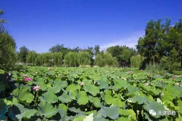 鍜岃皭鑷劧鎽勫奖浣滃搧娆ｈ祻,鍜岃皭鑷劧鎽勫奖浣滃搧