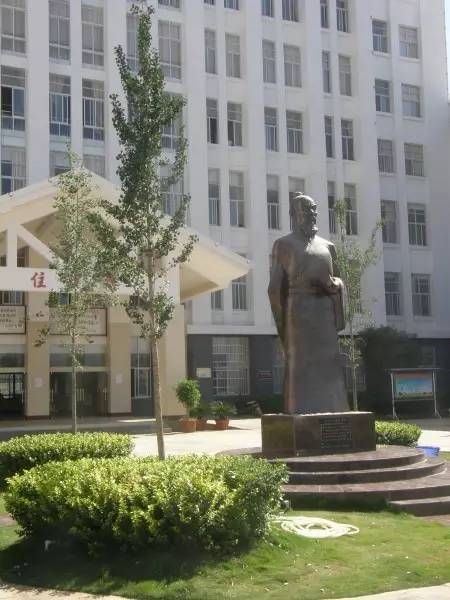 肾结石的救星来了,结石的大克星来了