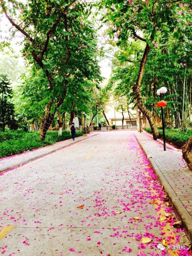 鍜岃皭鑷劧鎽勫奖浣滃搧娆ｈ祻,鍜岃皭鑷劧鎽勫奖浣滃搧