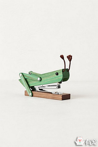 一些实用的生活小物品 (生活中最常见的100种小物品)