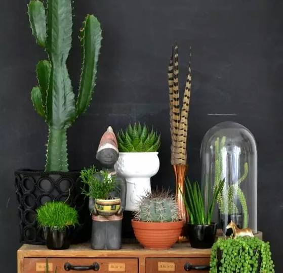 雾霾天气如何生活,雾霾天怎么过