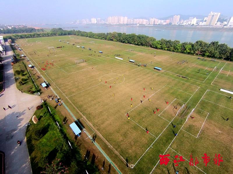 杨璞谈青训,杨璞回忆徐云龙