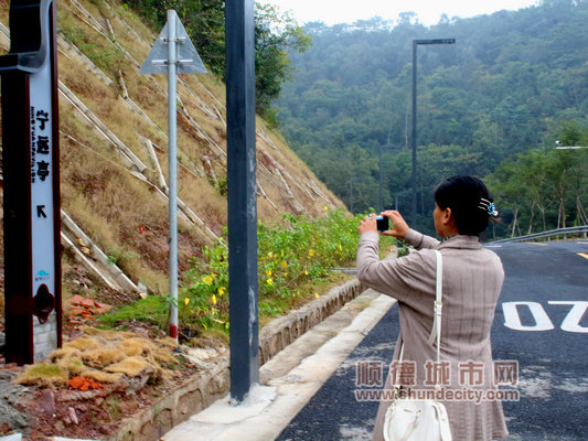 采风活动,采风的活动