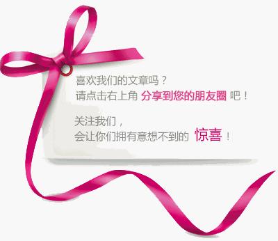 森海塞尔he1试听,森海塞尔HE1静电耳机限定版