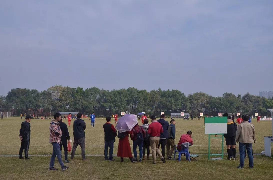 杨璞谈青训,杨璞回忆徐云龙