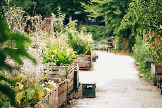 CSR共·创｜花的引领：从精神荒芜回归社区