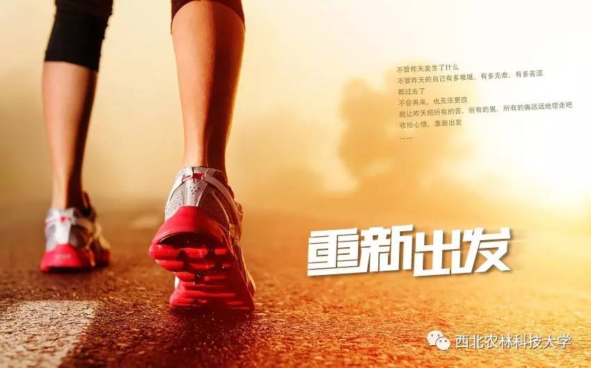 分享成为第一人重要不,分享成为炫耀