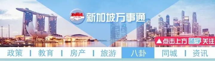 新加坡最搞笑的翻译,盘点那些搞笑皇家翻译