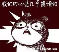 新加坡最搞笑的翻译,盘点那些搞笑皇家翻译