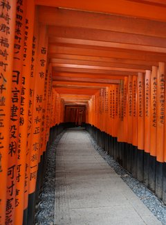 再入关西——现代的大阪，古典的京都