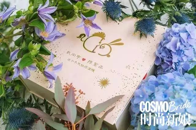 陈紫函戴向宇只因单身在一起剪辑,陈紫函戴向宇甜蜜日常