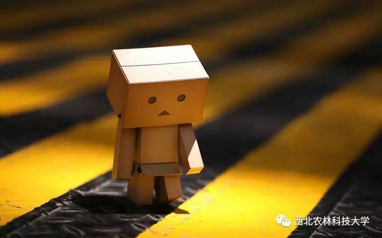 分享成为第一人重要不,分享成为炫耀