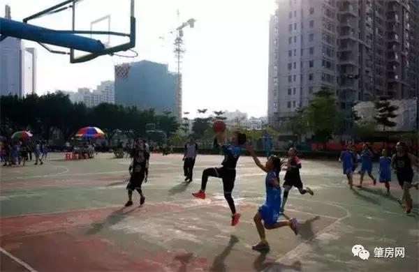 2021年端州学区划分表,2019肇庆端州学区划分