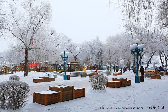 哈尔滨太阳岛的冬天照片,哈尔滨太阳岛的冬天有多美