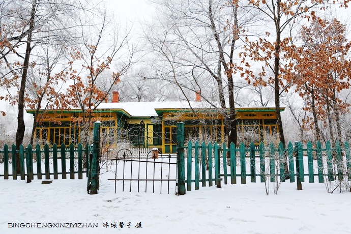 哈尔滨太阳岛的冬天照片,哈尔滨太阳岛的冬天有多美