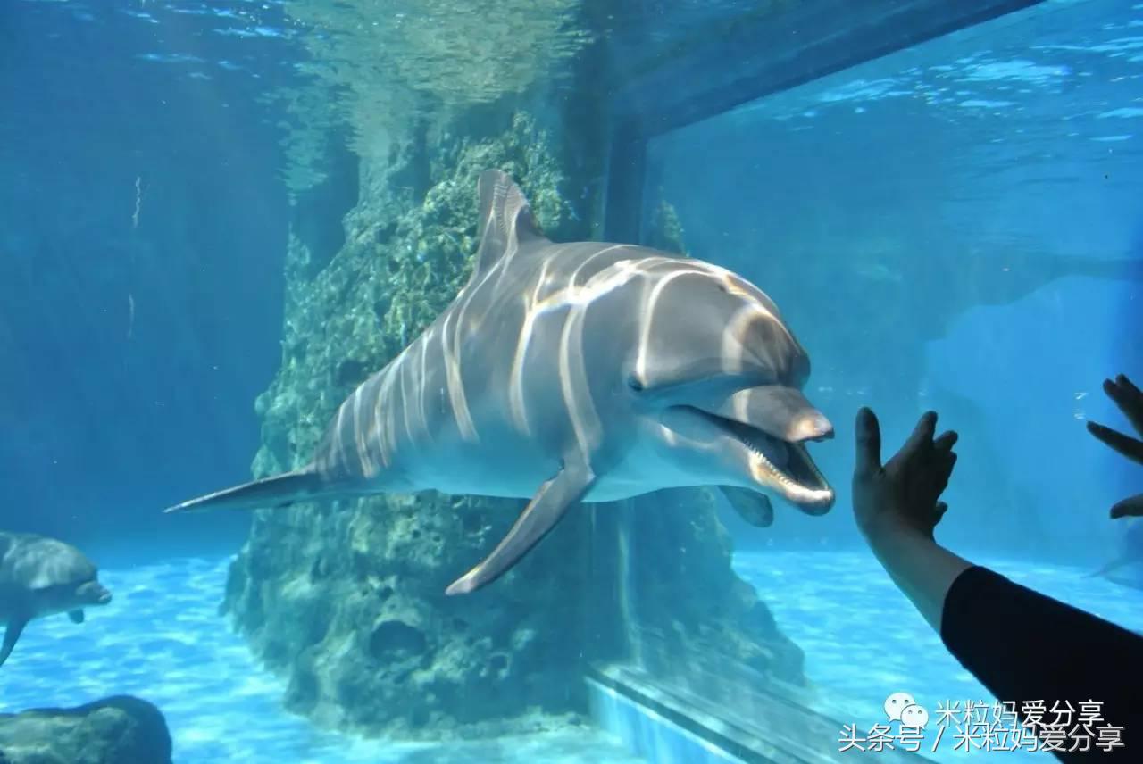 广州亲子游5天自由行不累,适合带宝宝去的亲子游