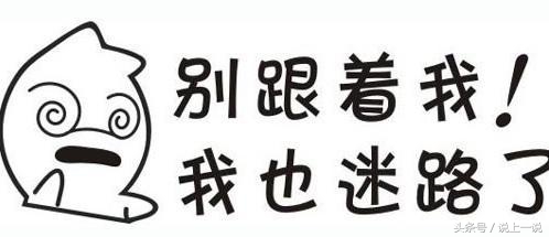 搞笑车贴标语纸网红爆款,搞笑车贴标语