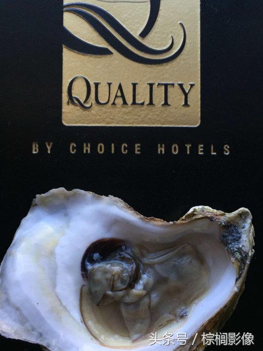 鐖卞痉鍗庣帇瀛愬矝鏈夋病鏈夊畨濡繖涓汉,缁垮北澧欑殑瀹夊Ξ鐖卞痉鍗庣帇瀛愬矝