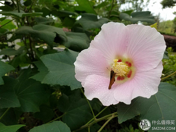 三星s7edge还能用吗,三星s7edge现在系统流畅吗