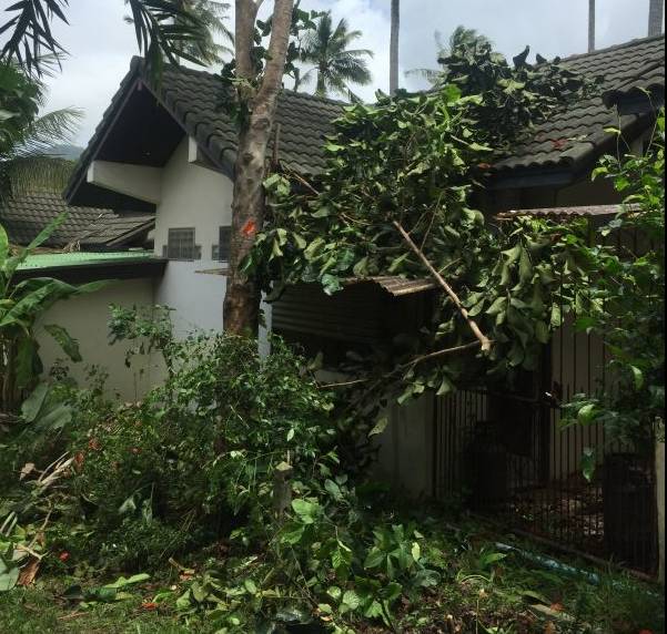 四川帅大叔暴改普吉岛民宿,用时4个月他活出了你最羡慕的样子