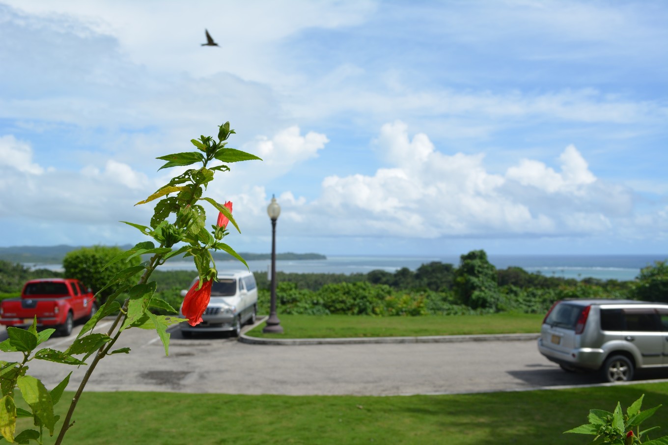 帕劳旅行攻略大全图文,帕劳旅行攻略图文大全