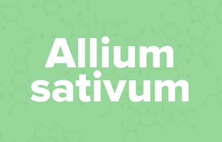 apple苹果的英语是什么,苹果的英语为什么是anapple