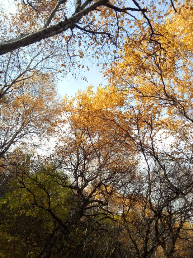 张北天路行,深度还原张北天路