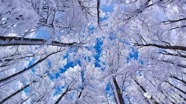 冬天手脚冰冷艾灸什么穴位,艾灸涌泉穴治疗手脚冰凉