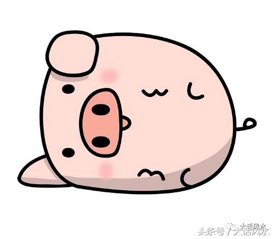 12月28日十二生肖运势详解,12月28日生肖运势播报