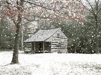 盼雪来的诗句,临屏诗词