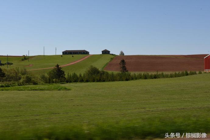 鐖卞痉鍗庣帇瀛愬矝鏈夋病鏈夊畨濡繖涓汉,鐖卞痉鍗庣帇瀛愬矝瀹夊Ξ灏忓眿鍦板潃