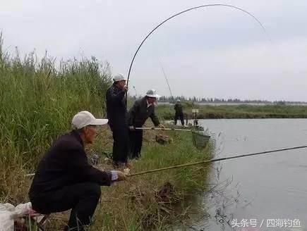 鱼线轮的保养和维修,纺车轮和鱼线如何保养