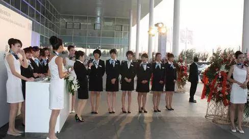 平行进口车可以买到哪些车,便宜的平衡车