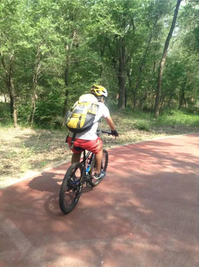 鏉垮嚦瑙傚療涓栫晫,鏉垮嚦瑙傚療